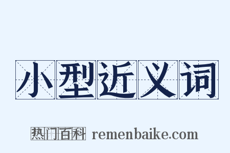 小型近义词是什么意思的图片